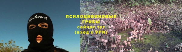 spice Балахна