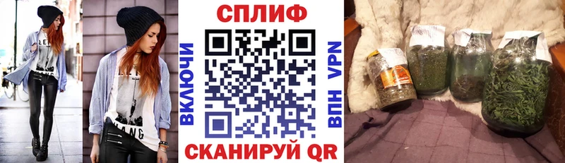 дарнет шоп  Новохопёрск  Шишки марихуана семена 